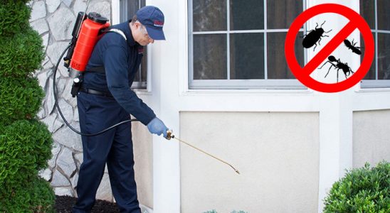Yığılca Haşere İlaçlama böcek ilaçlama ve haşere kontrolü — ilaclama-tr.com